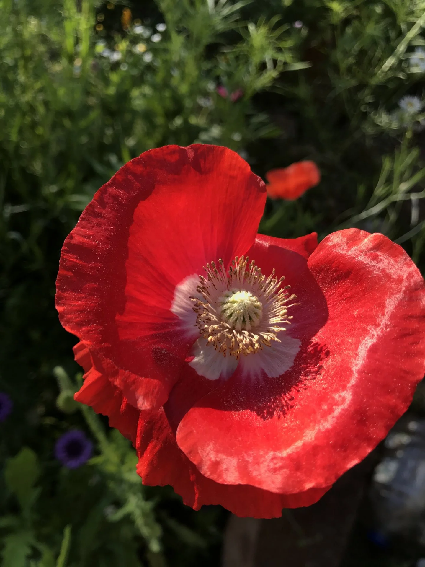 026C7508-5253-43EC-9F6D-1AF5BDF69129