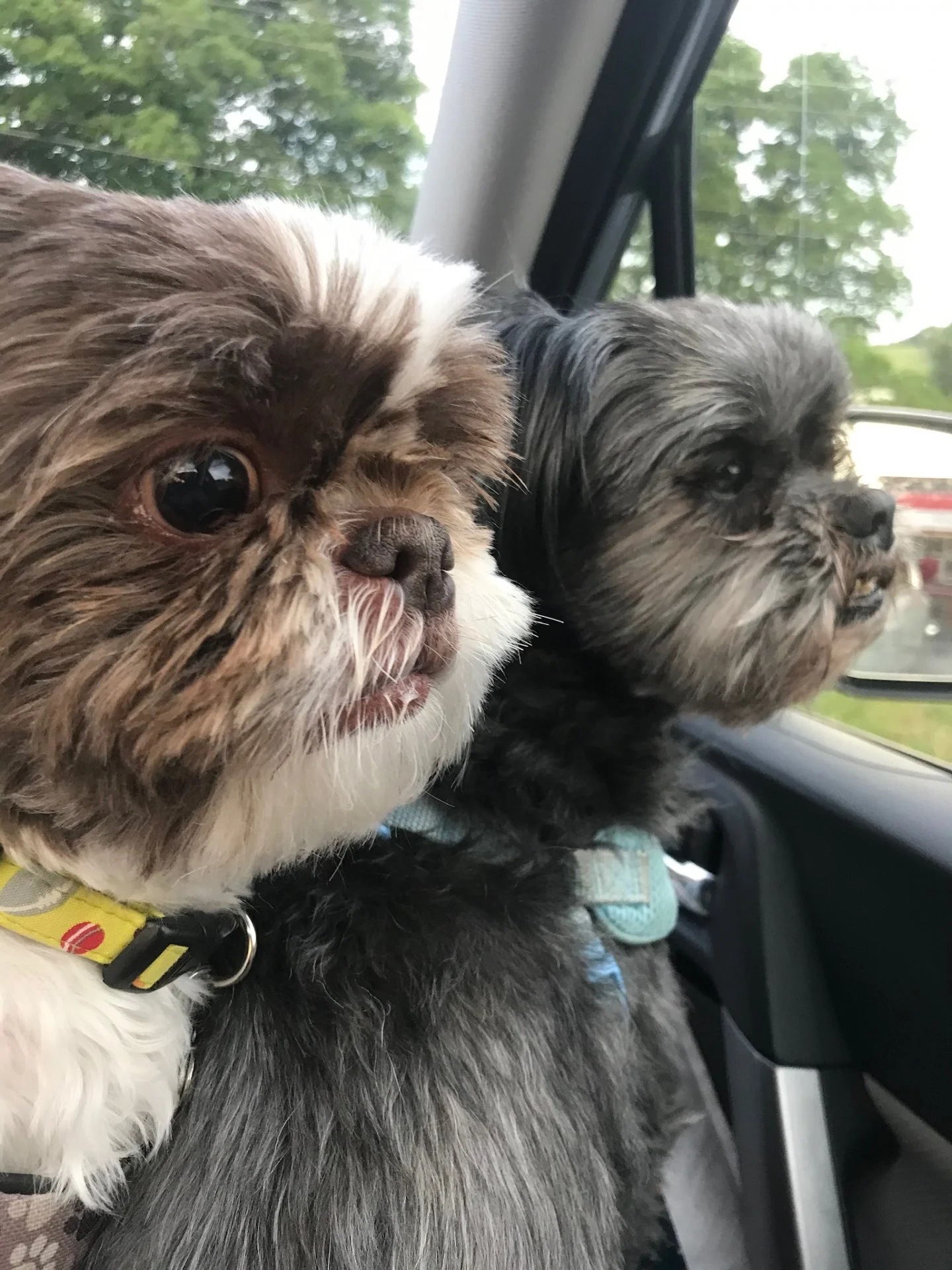 05134E9F-7869-4CA1-9517-8C6FE8156086