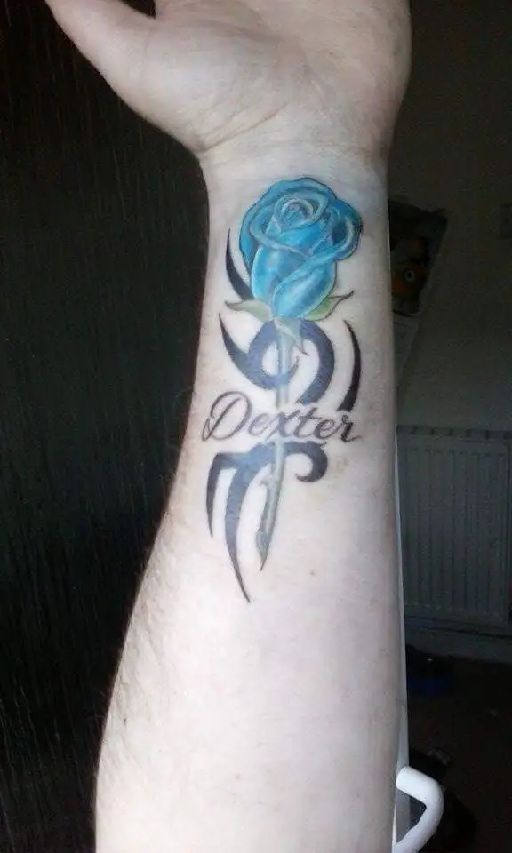 15134253_991807677595879_587869872_n