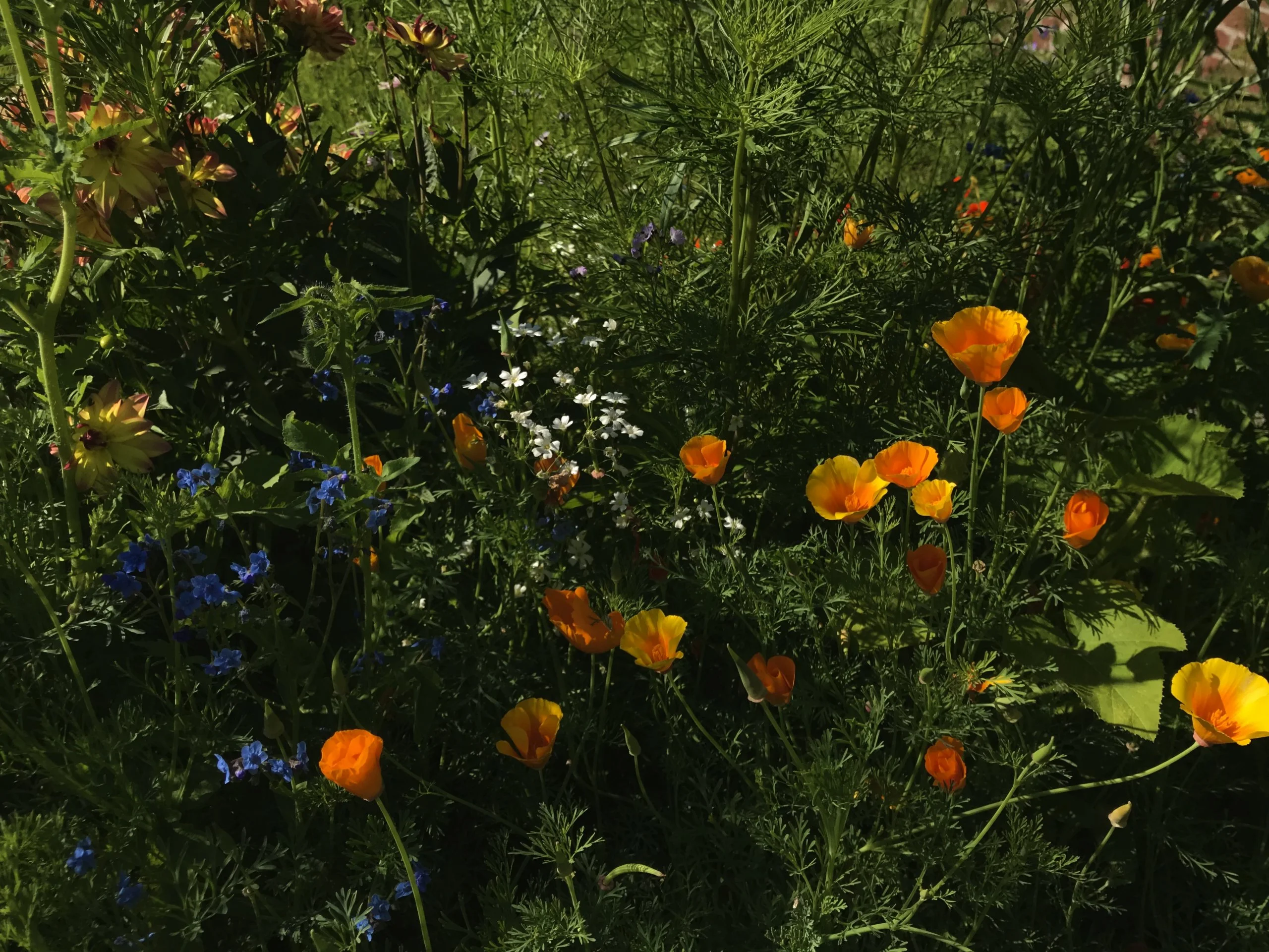 1576FB5D-6C0E-46D8-A840-B42F099C8C9B