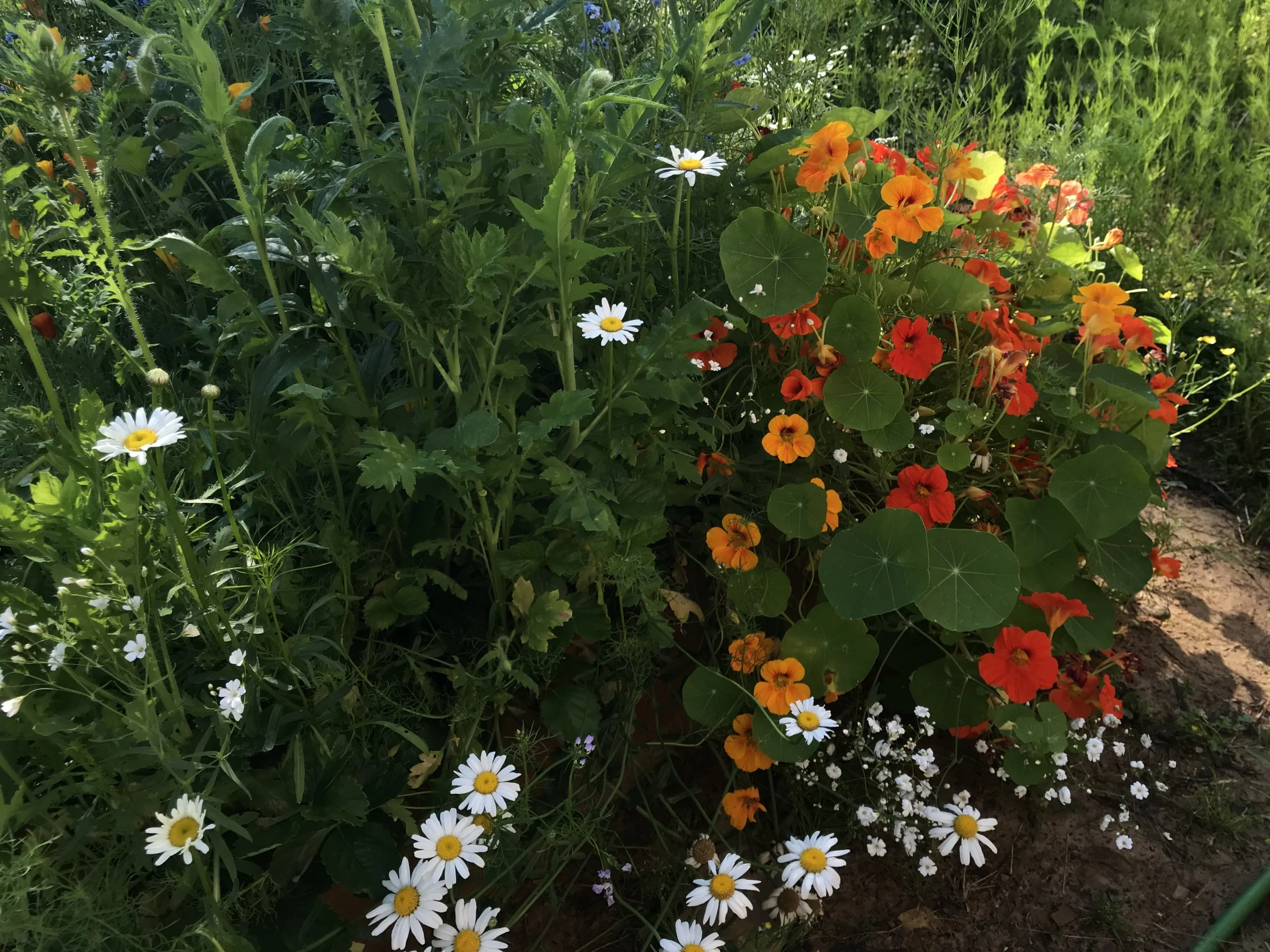 17B21EF0-429A-41C1-8E28-32797A9137FE