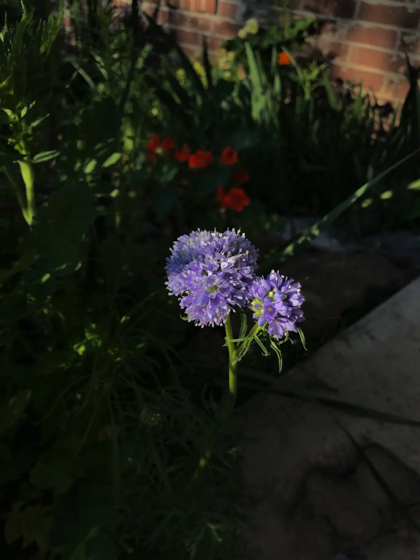 1B07B9A3-63EE-4DF7-AC96-BD76C1E3C70B