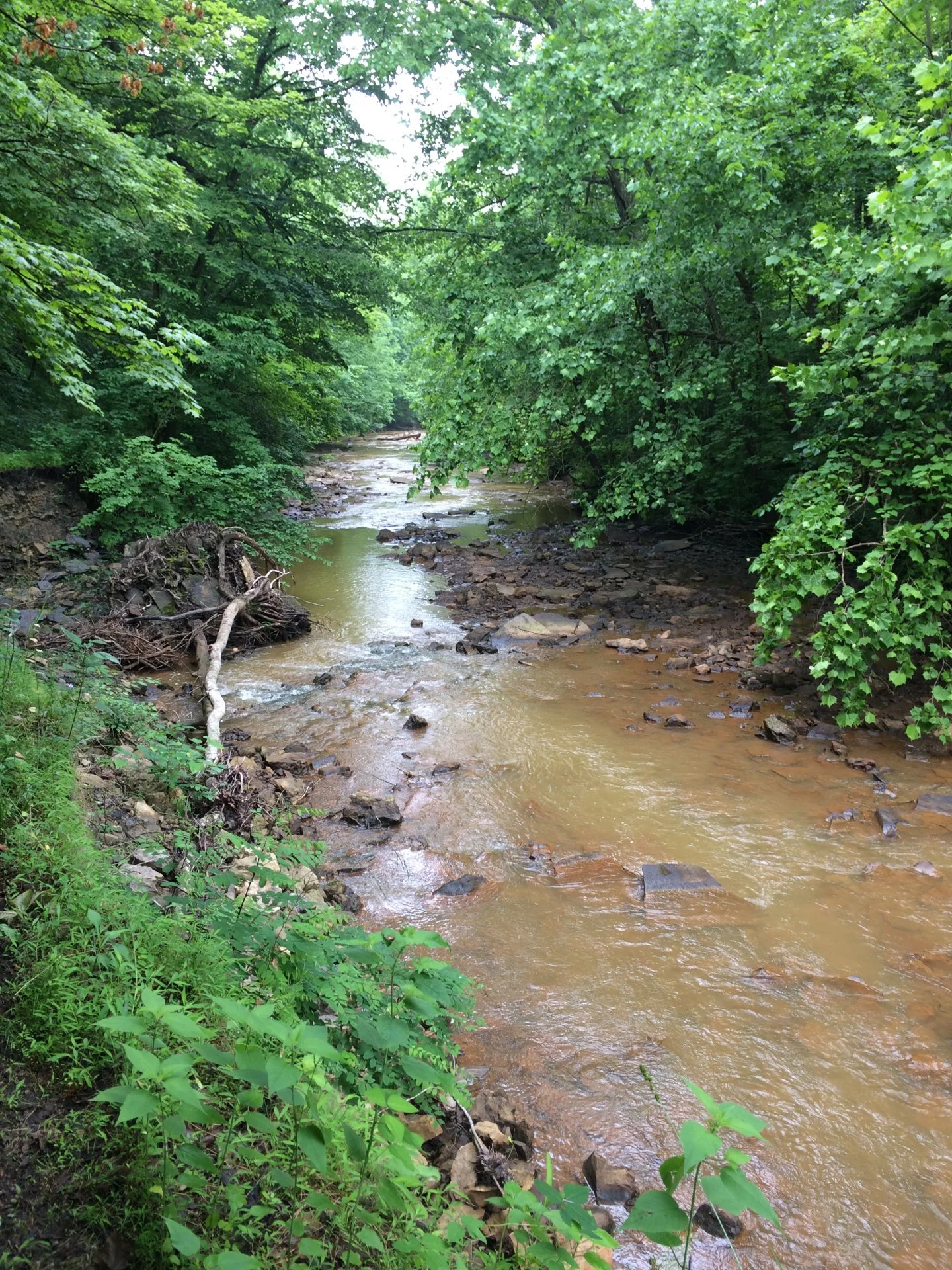 1D0F3D28-8709-4CE2-B58E-A297BAF915DA