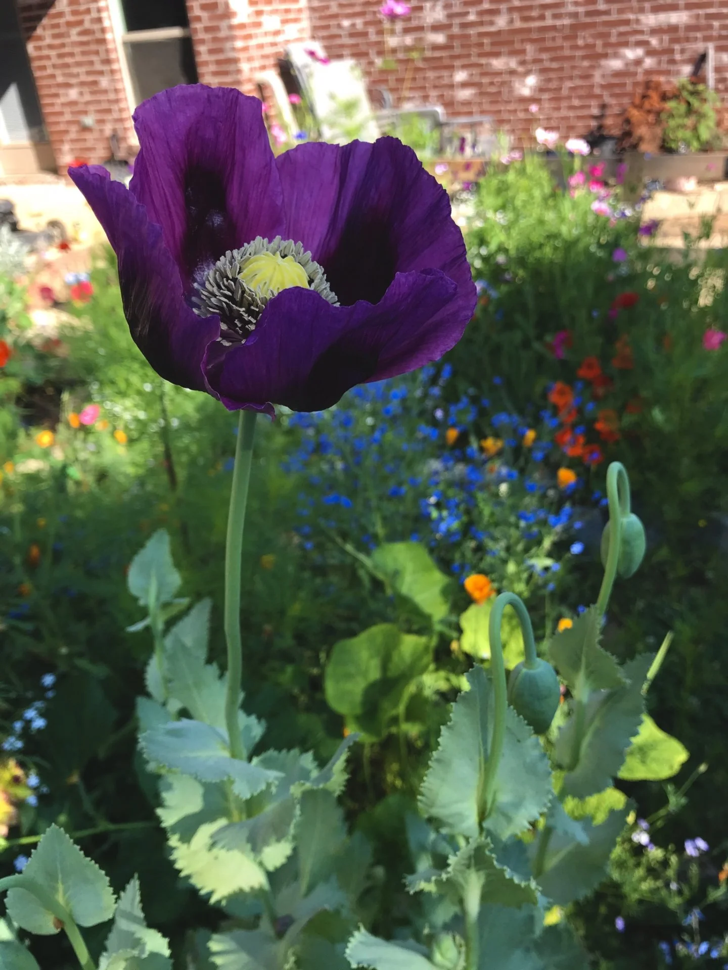 1DE93D01-FBF5-44C7-AB05-76D58DDCBAE9