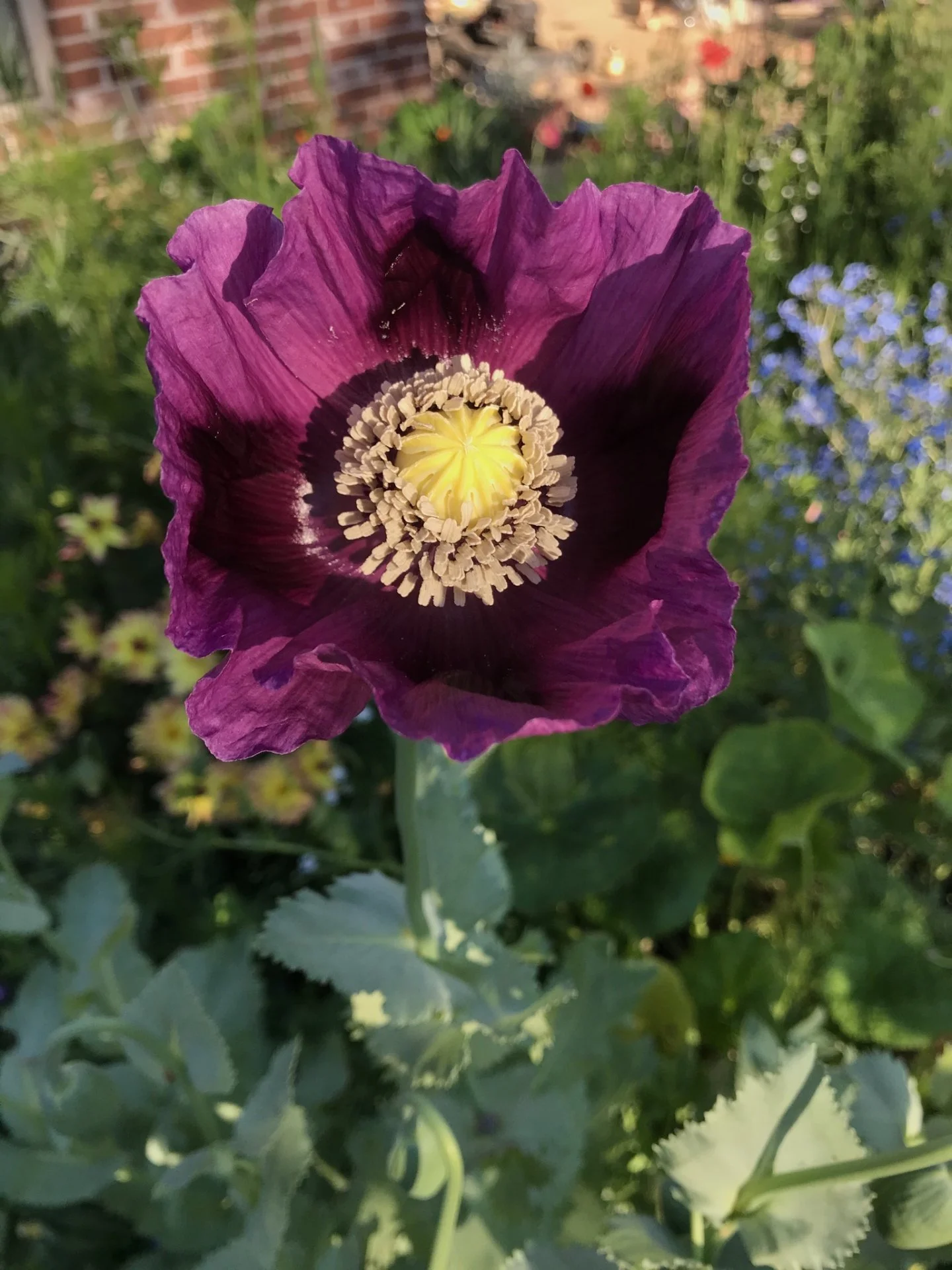 1E71D394-0670-43A8-AE24-4FBC3FFC3891