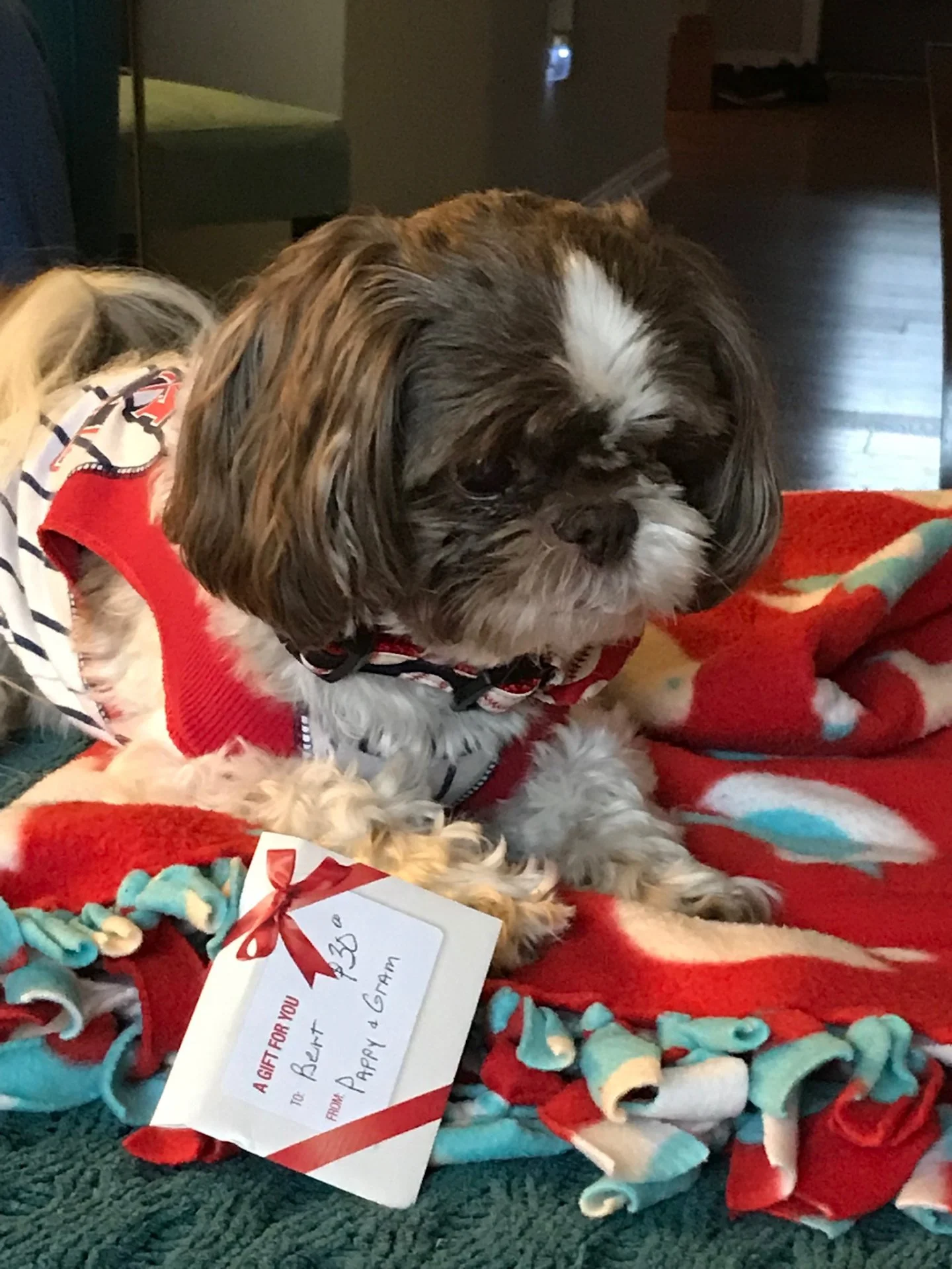 234B07EB-4741-4AC0-A1CE-AA8C6681188D