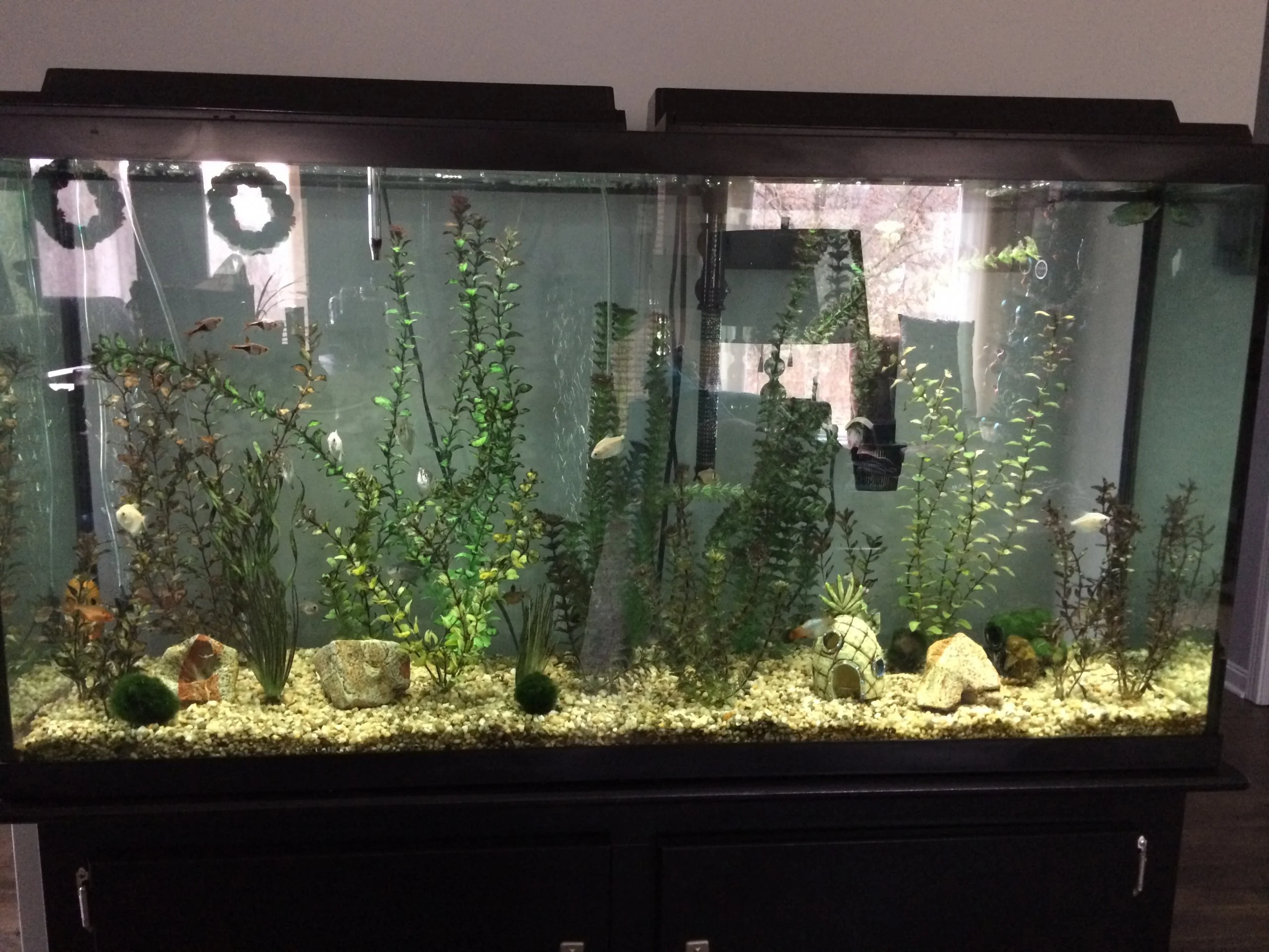 265FC65C-0384-4BB9-9C60-EAF120CE1E77