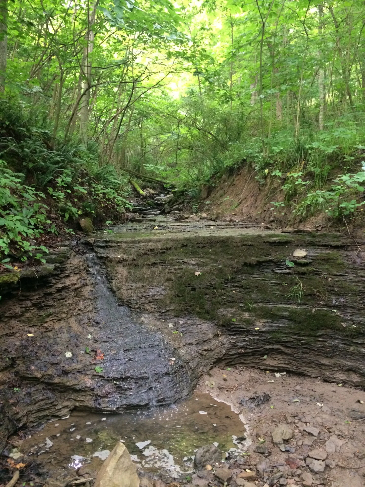 2994DBD6-16A5-47D1-BCA8-B156C2E4088A