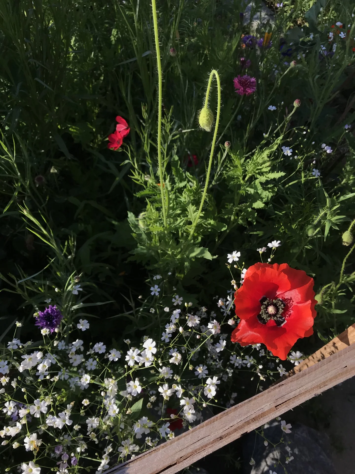 31FA47EC-6D15-4910-B04F-F9E00CD95B1D