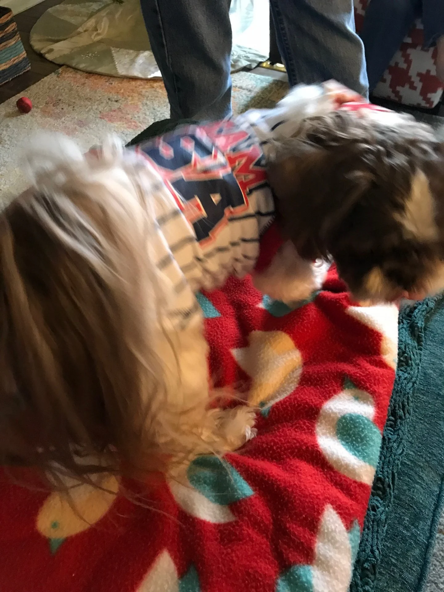 3B2770D2-D349-4145-B777-55B0BFE2CADD