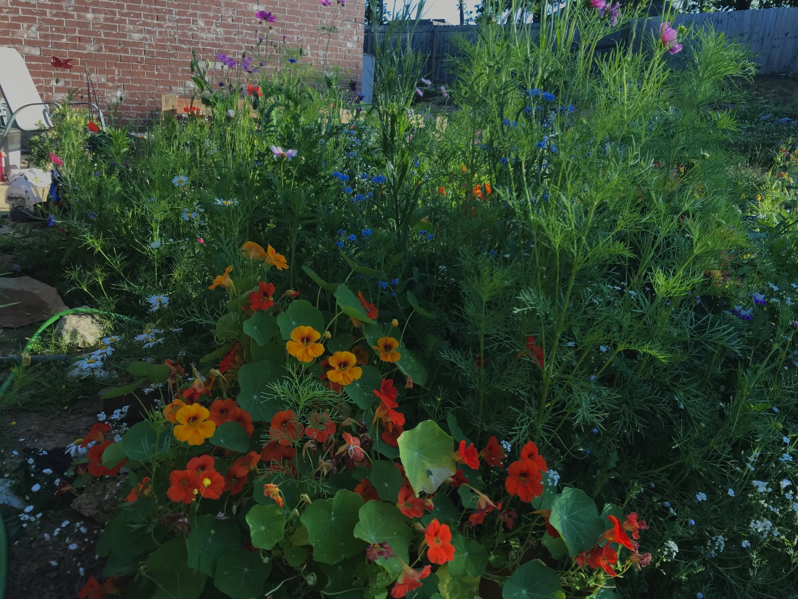 460D454F-6566-4DA7-B84D-B79C52A5CE6F