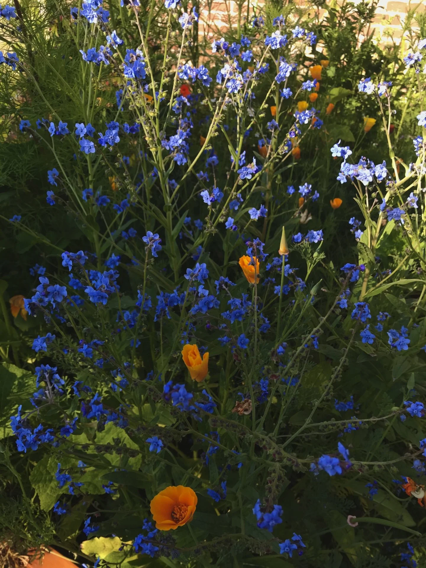 47B978E7-BF7F-4A88-9E5D-A4B1B6B41580