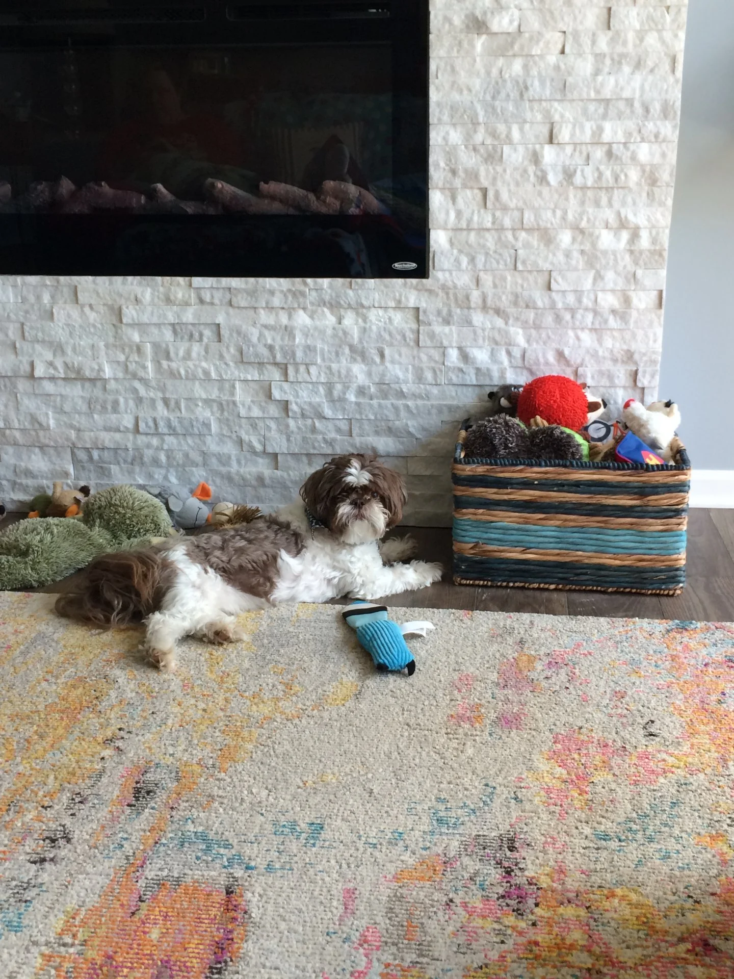 4EC9DFC0-1436-4CA9-9EF0-A5D66B0BBF33