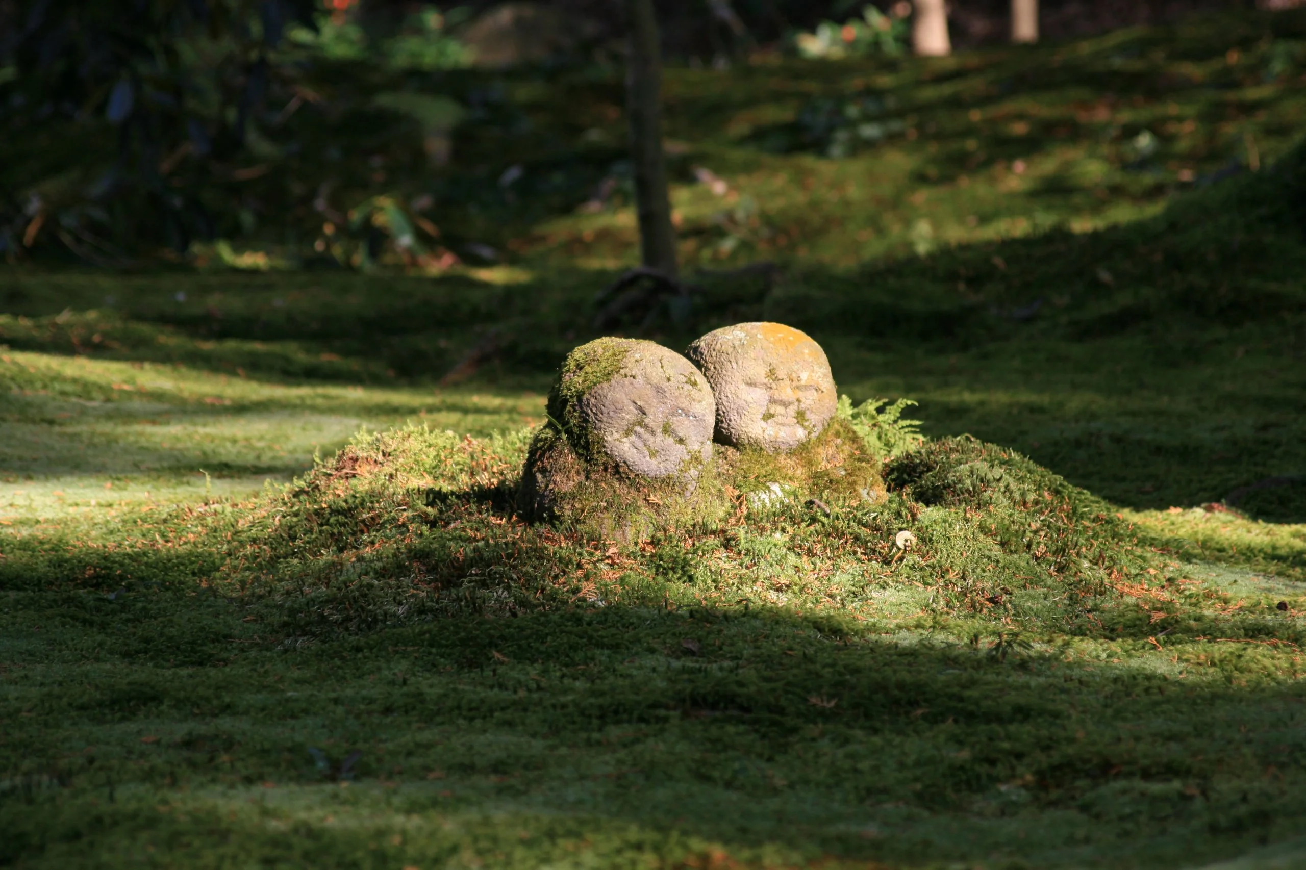 5367986887_b0f441cbdf_o