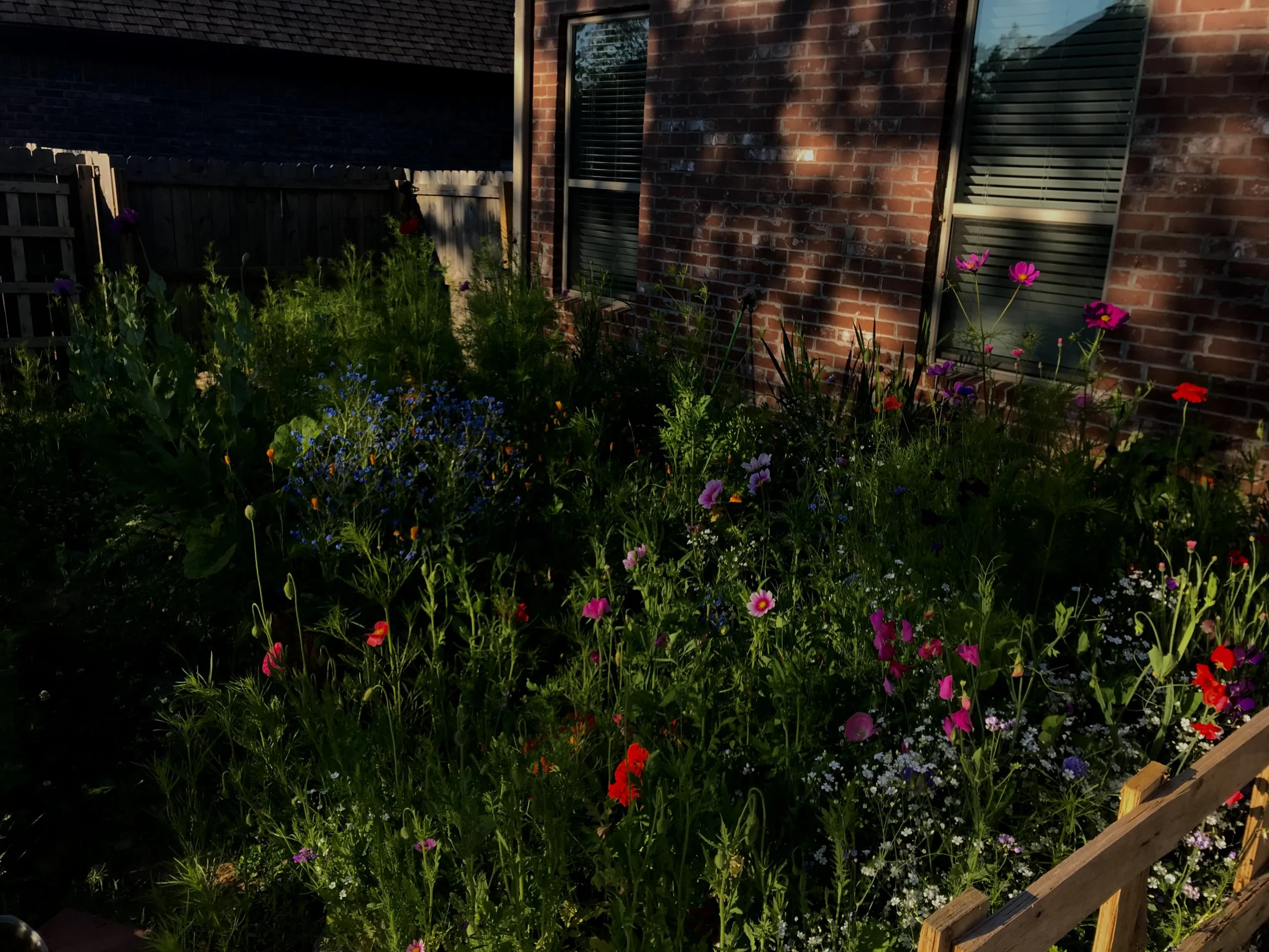 5E5329BE-3539-40AA-ADBE-64A8CE562ADA