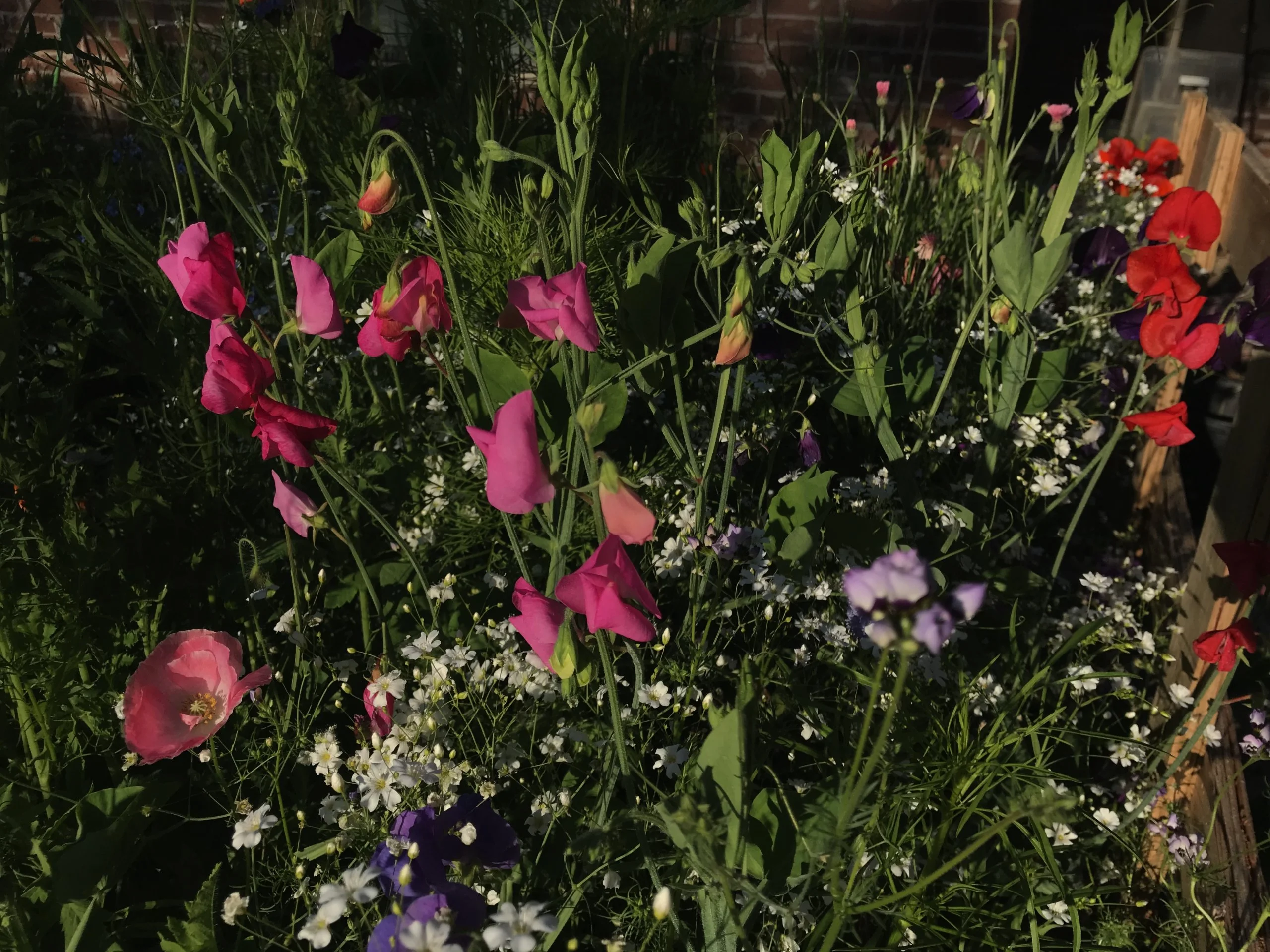 6732F7DD-EE8C-4728-9DD2-80286CFC1182