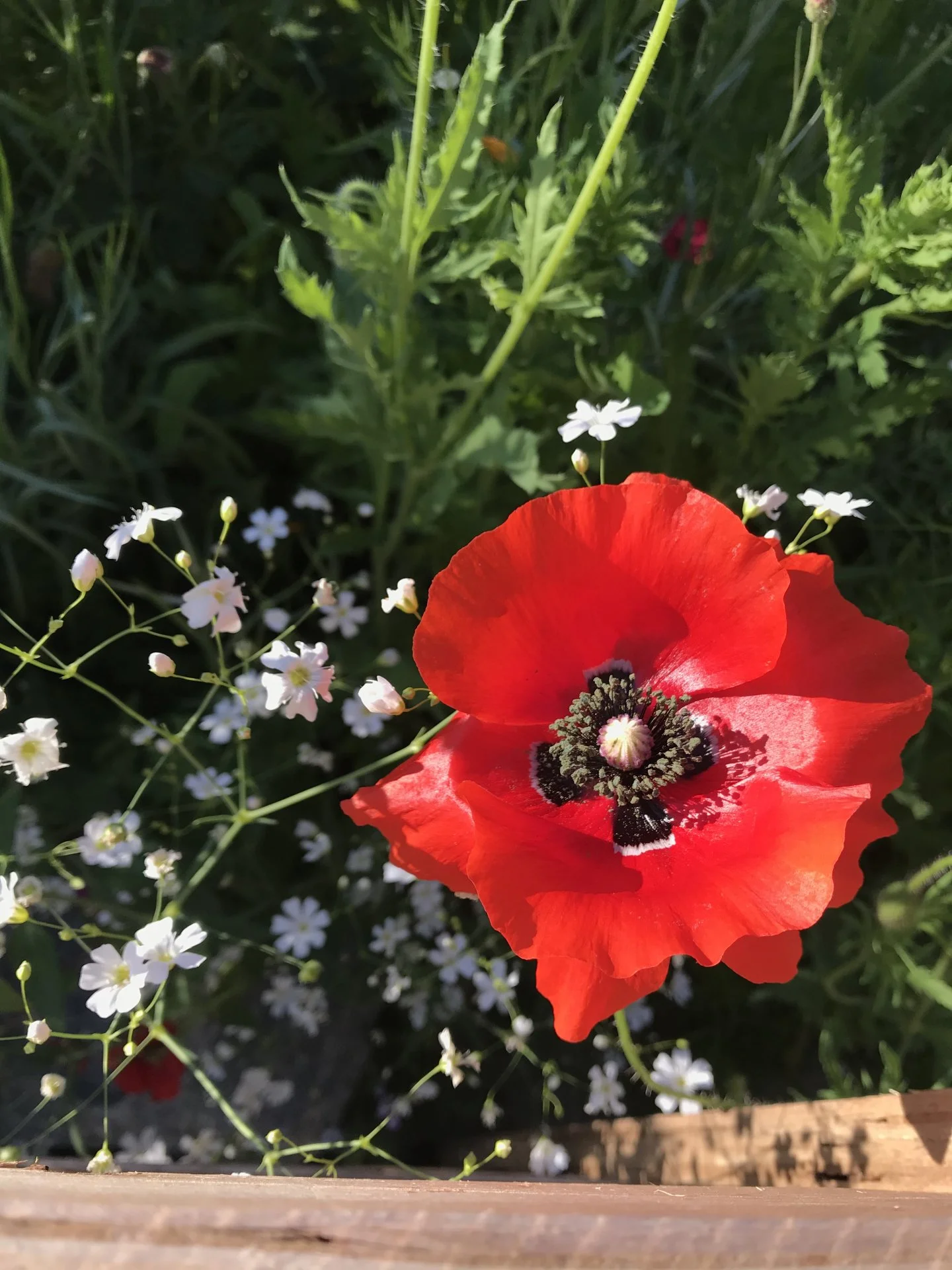 7471731B-67ED-4718-B4B7-7159B2D006A2