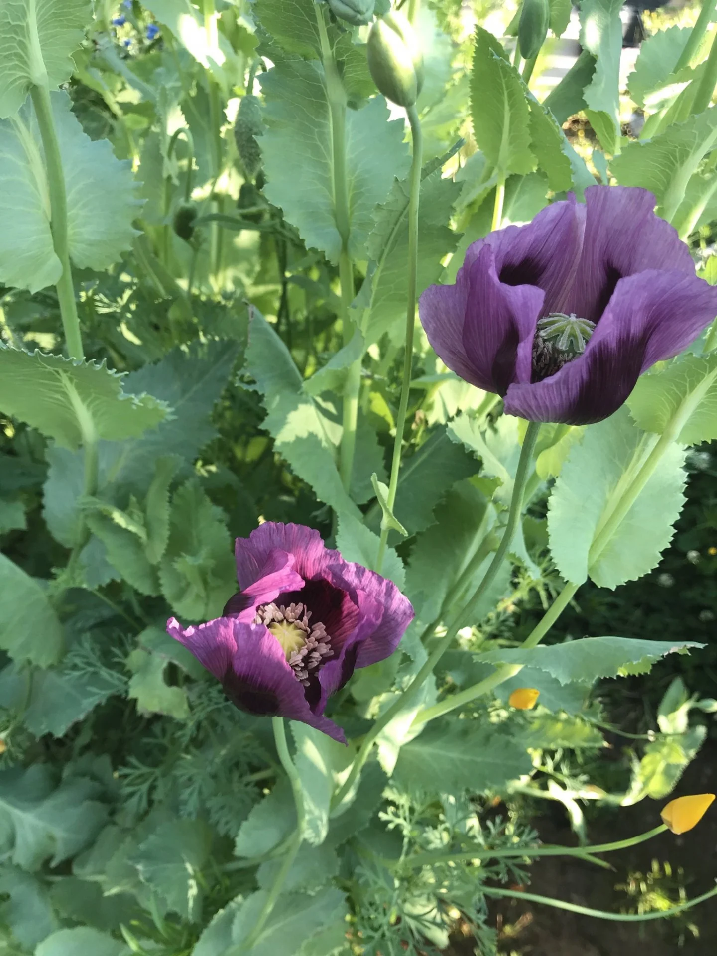 816DEA0B-1791-4267-90FC-17E0937D9F95