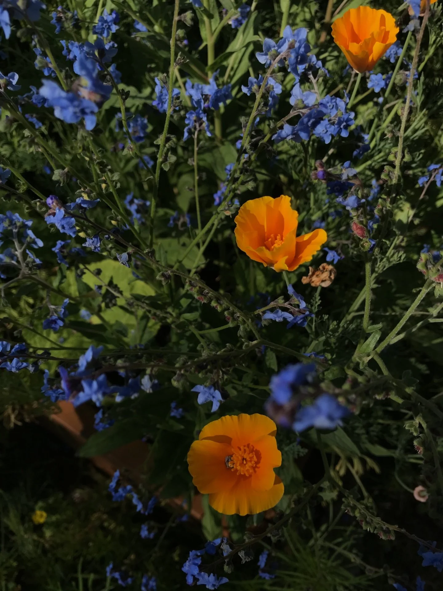 9F477C02-3278-4FC6-953E-E0DDADD6BDDF