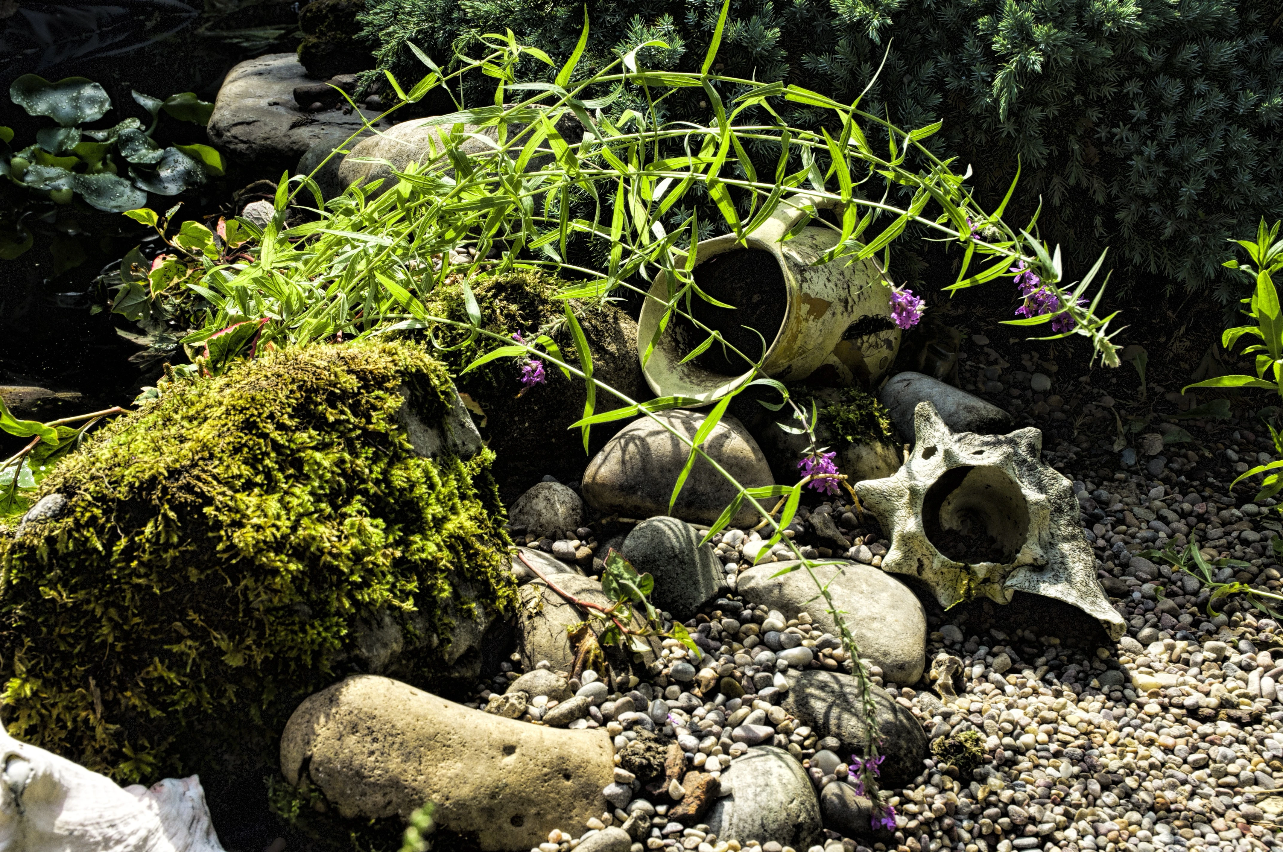 _DSC4172_Clarity_Macro-Morning_Dew