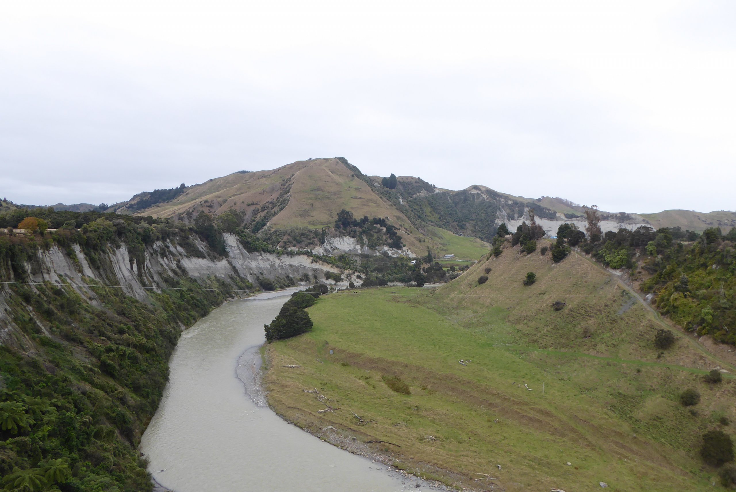 A River In The North Island--Wellingon Trip 2018