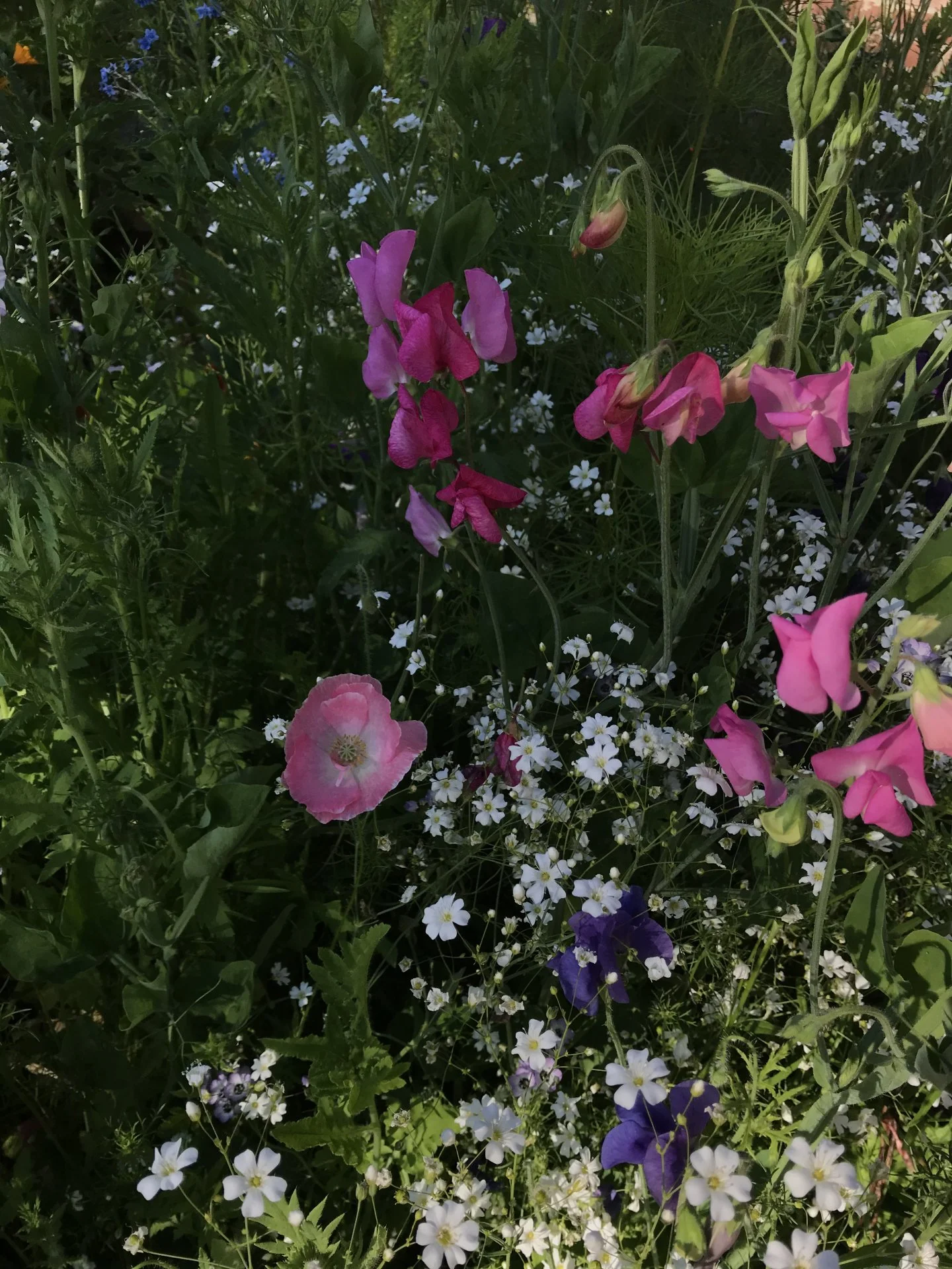 A1D84C37-8DCB-4923-8198-0E4360FE7A28