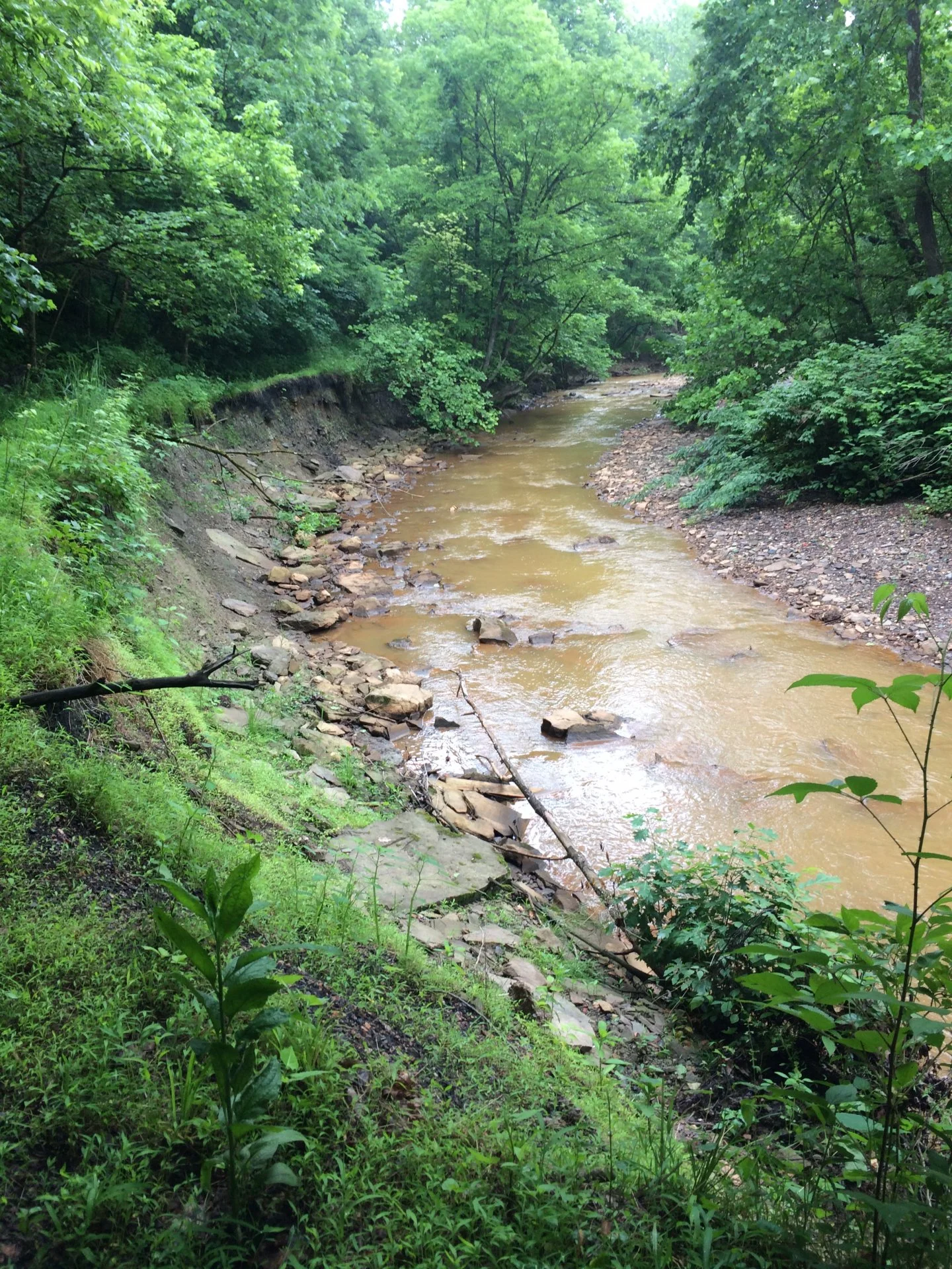 A6FB9DD4-56BA-465F-8C95-DA0E376D3546