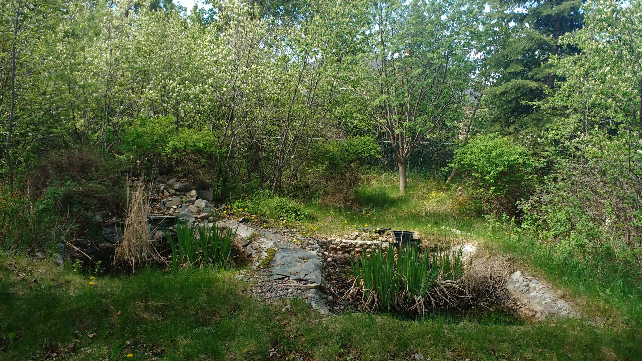 Abandoned Neighborhood