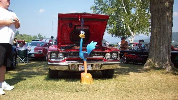 Adirondack National Photos 266