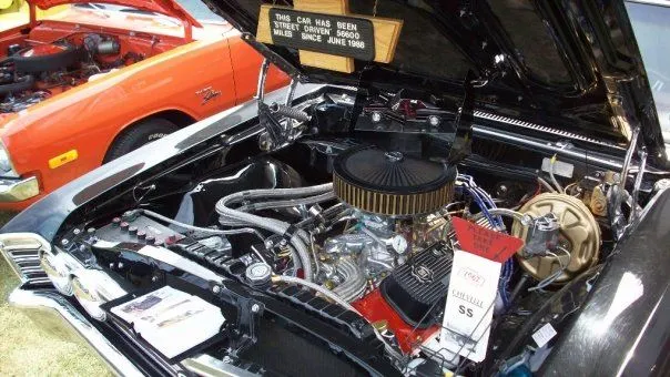 Adirondack National Photos 36