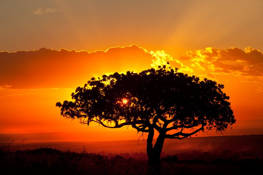 African landscape sunset by catman suha1