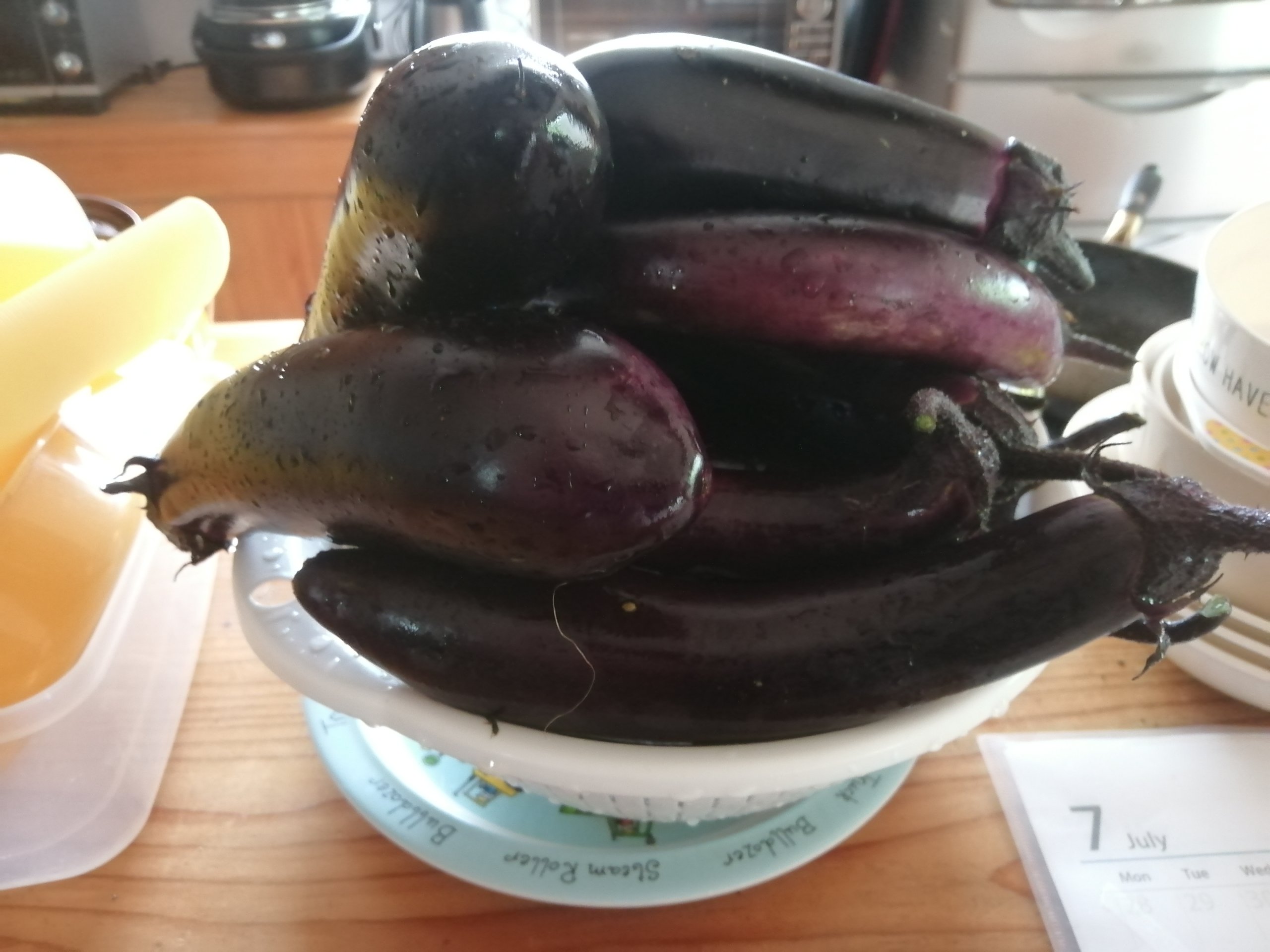 Around 20 eggplants today!