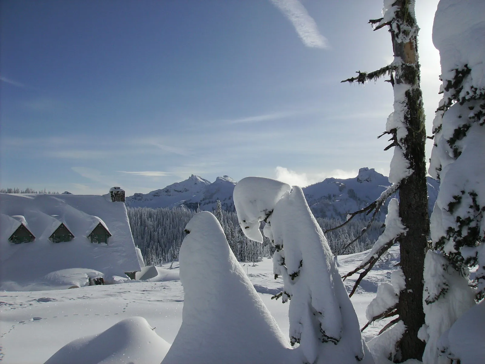 at paradise on mount rainier