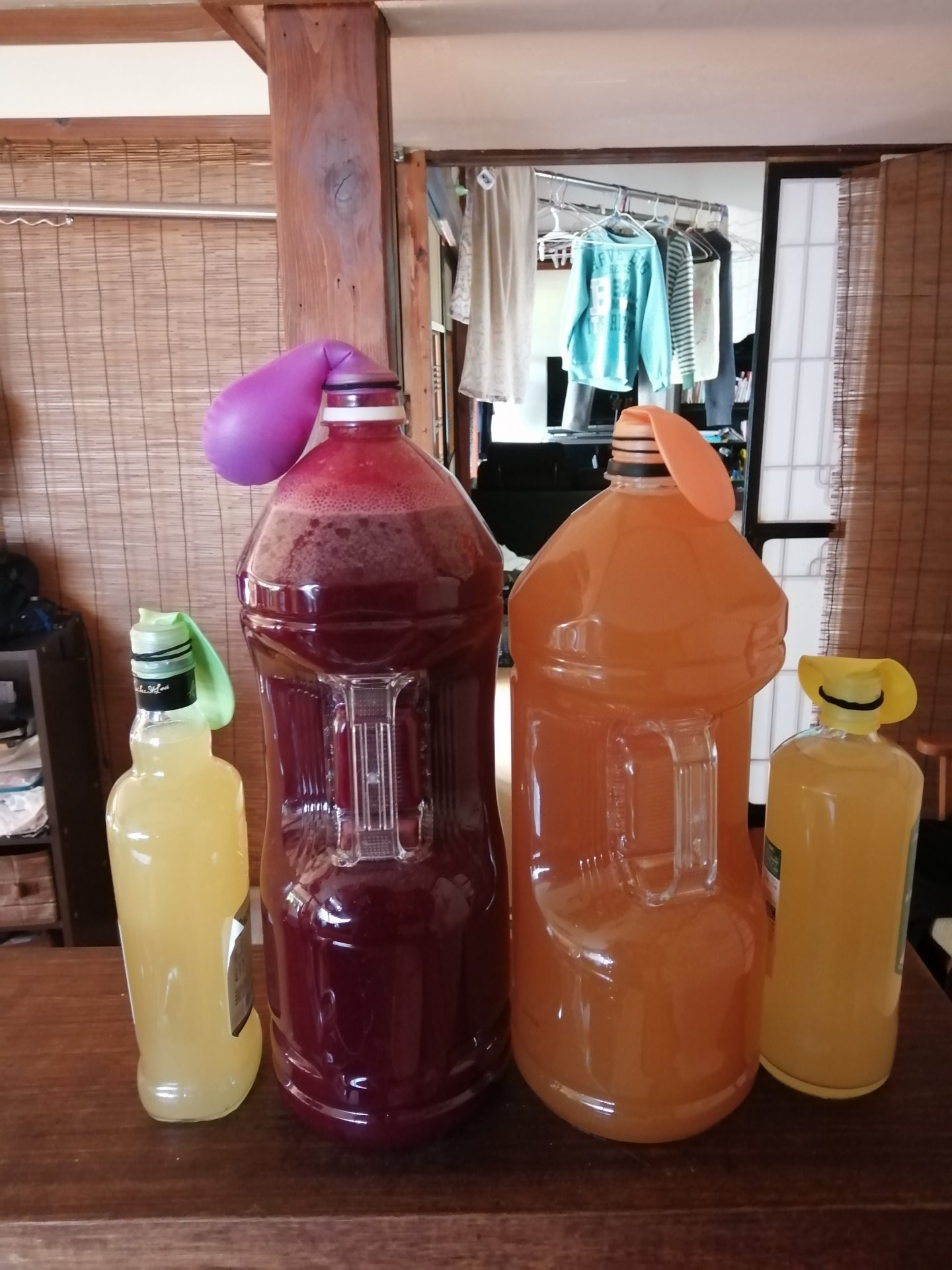 Berry, apple, and pineapple wine beginning to ferment!
