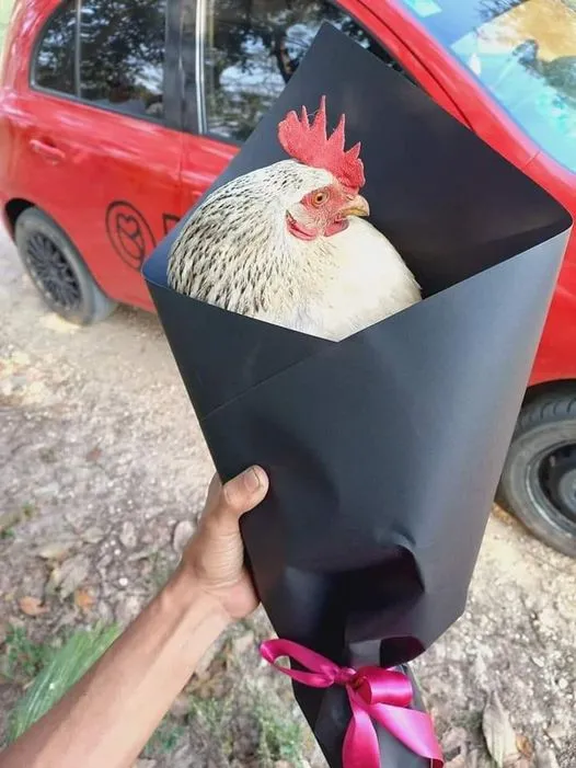 Better than flowers Asperger's & Autism Forum