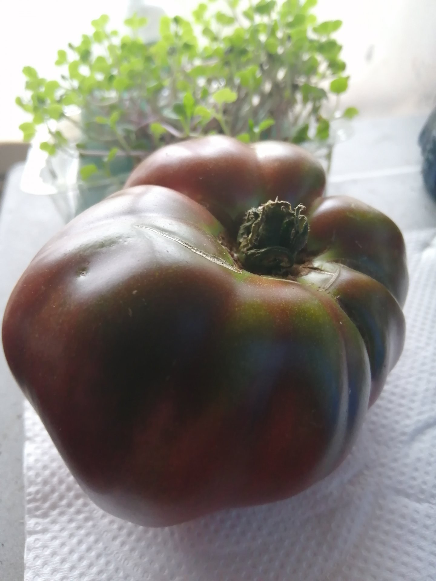 Black krim tomato