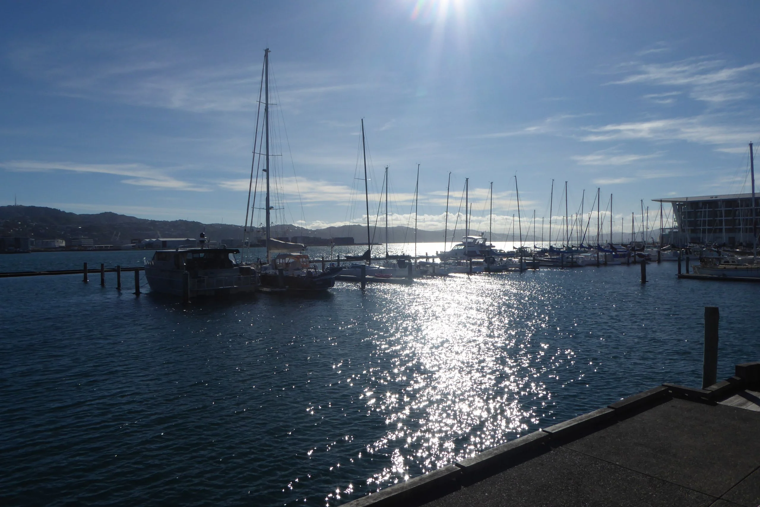 Boats--Wellinton Trip 2018