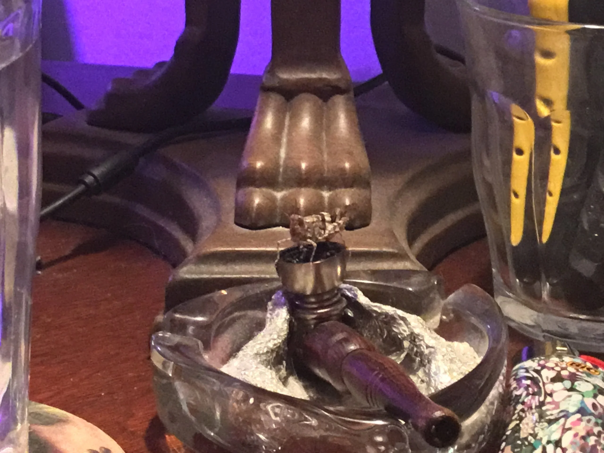 Bogart the Grasshopper