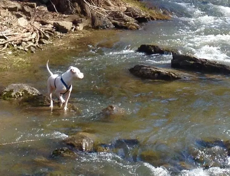 Bonnie @ Chittenango Creek