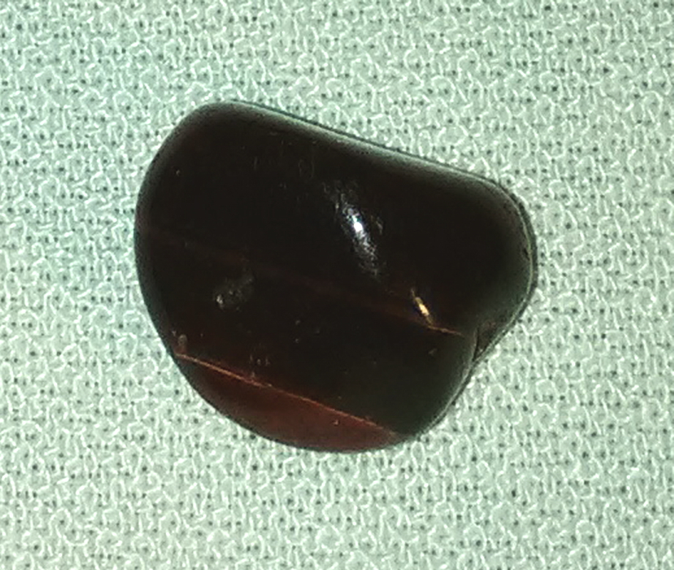 Brown Tigereye From Cascade Caverns In Boerne 01-A