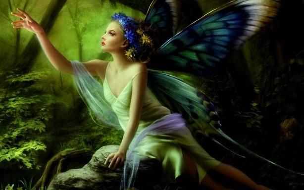 butterfly fairy