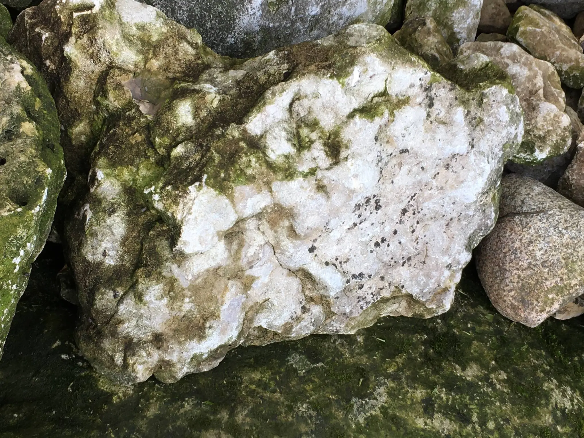 Cool rock