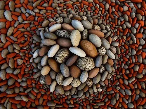 Dietmarvoorwold-landart-6