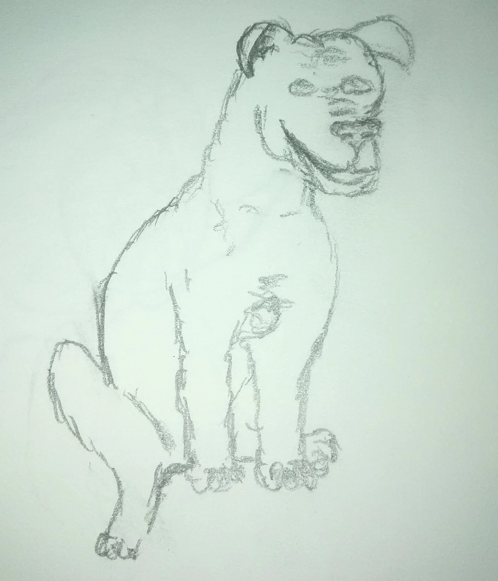 Dog 2