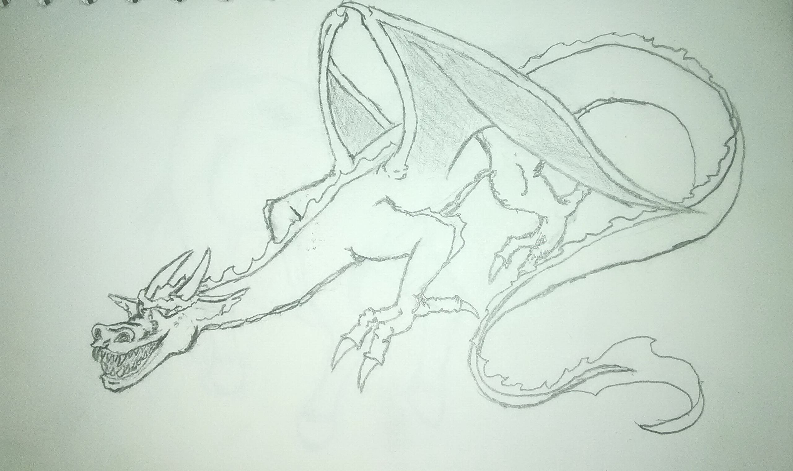 Dragon 1