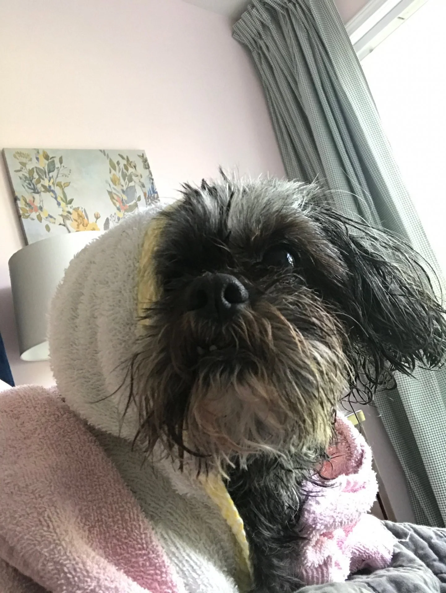 E4A4C2E4-0F32-4BE6-B02C-156E425D3EB6