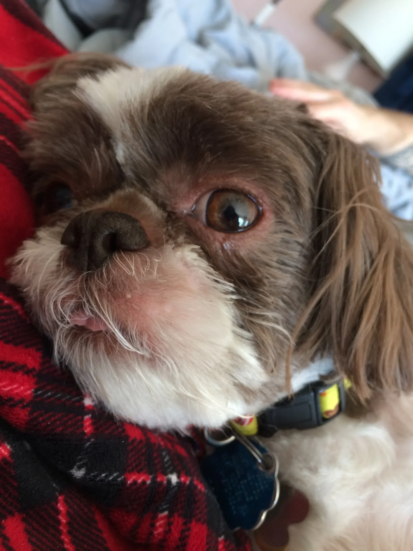 E75BBE6B-26CF-4FAE-933F-02E205F84538