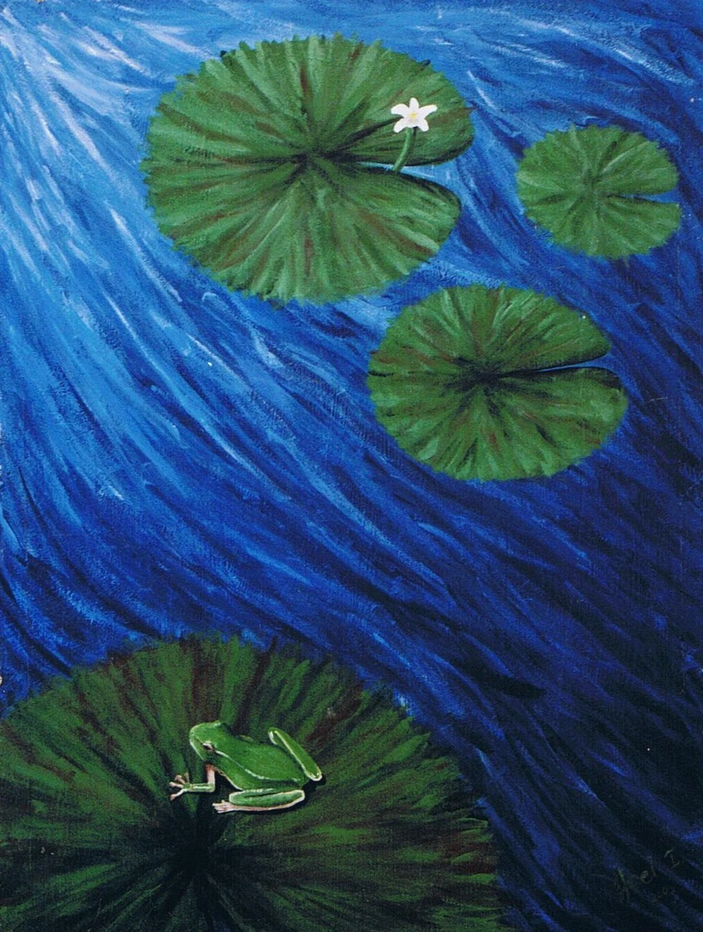 Eastern Dwarf Tree Frog