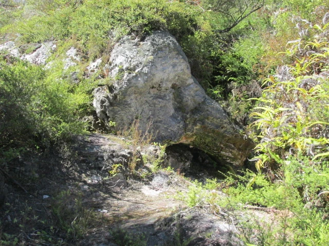 Elephant Rock