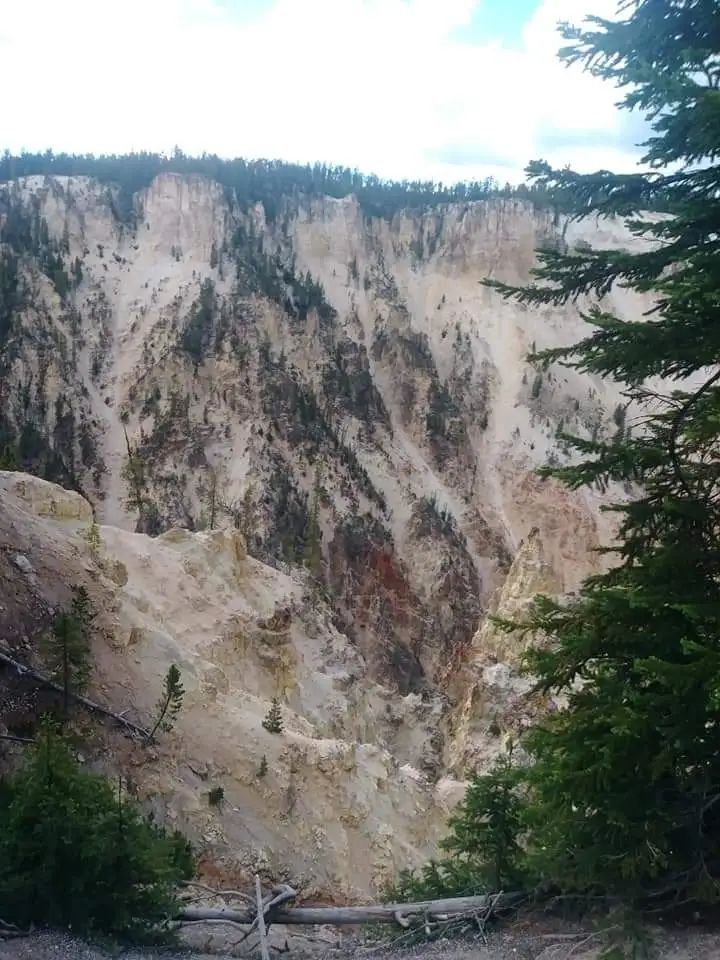 FB_IMG_1577912876804